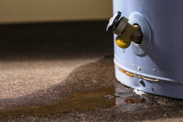 Best Professional water damage repair  in Atwater, CA